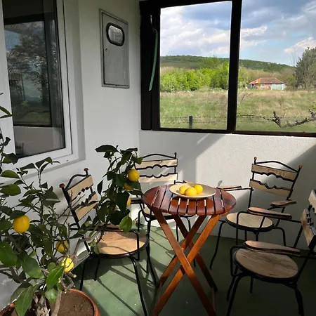 Buena Деспотовац