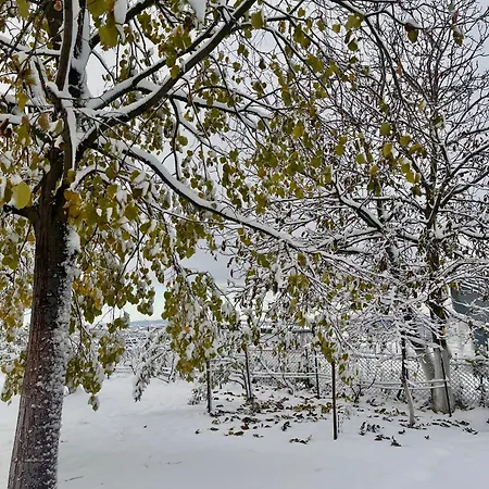 Buena Villa *
