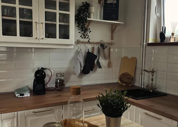 Buena 代斯波托瓦茨