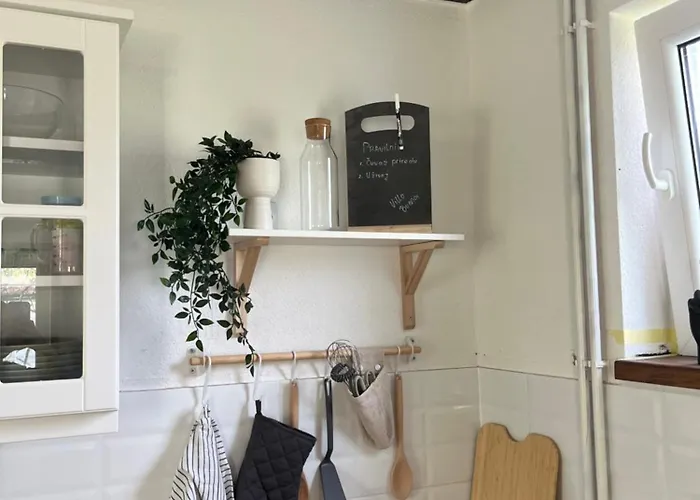 Buena 代斯波托瓦茨