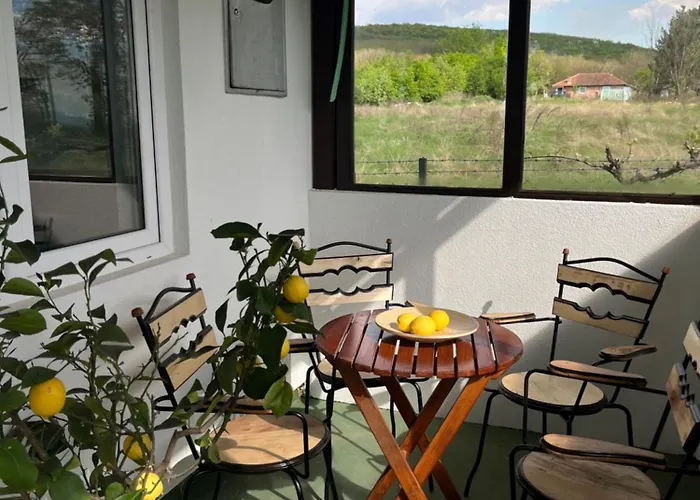 Buena 代斯波托瓦茨