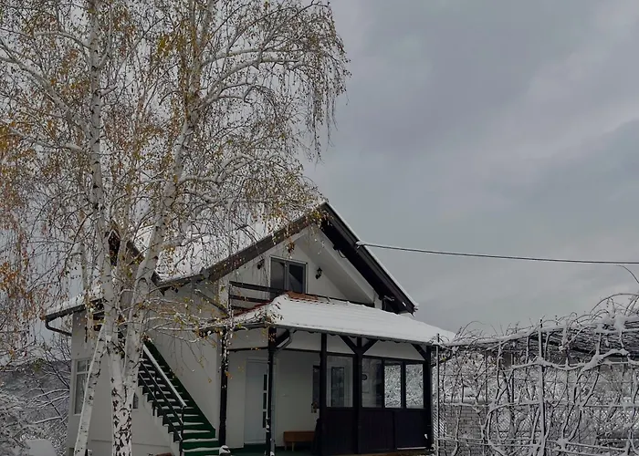 Buena 代斯波托瓦茨