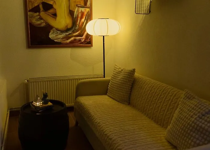 Buena 代斯波托瓦茨