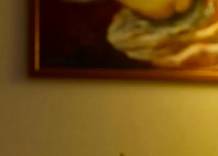 Buena * 代斯波托瓦茨